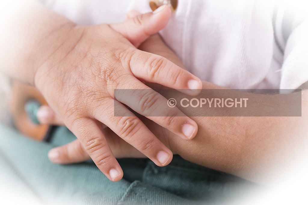 Hills District Newborn Photographer