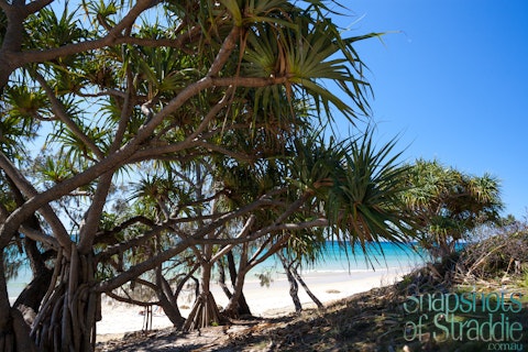 Point Lookout Pub North Stradbroke Island Point Lookout Pub North Stradbroke Island