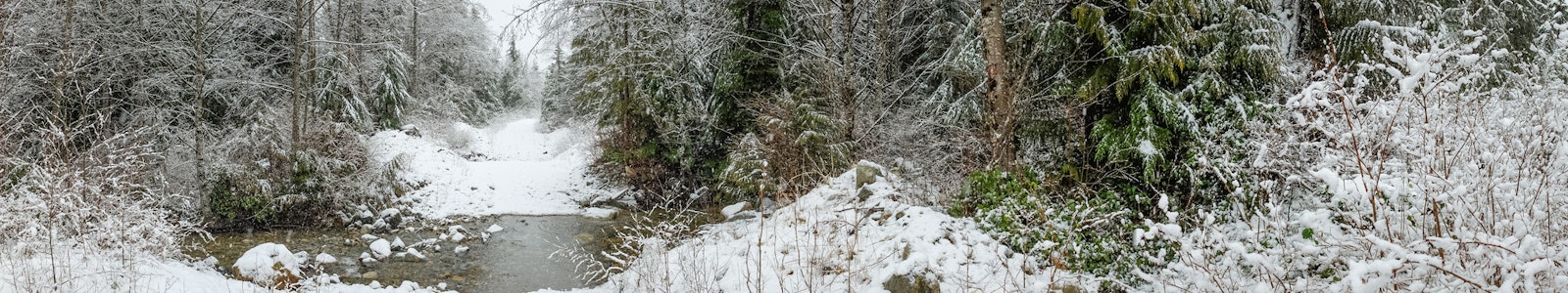 DSCF4024