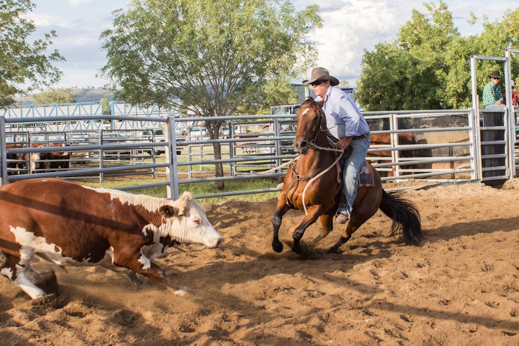 Barraba camp photos-15