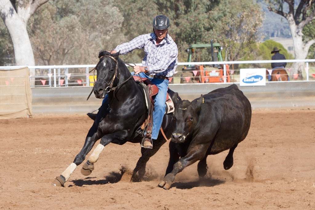 Curlewis Sunday-7227
