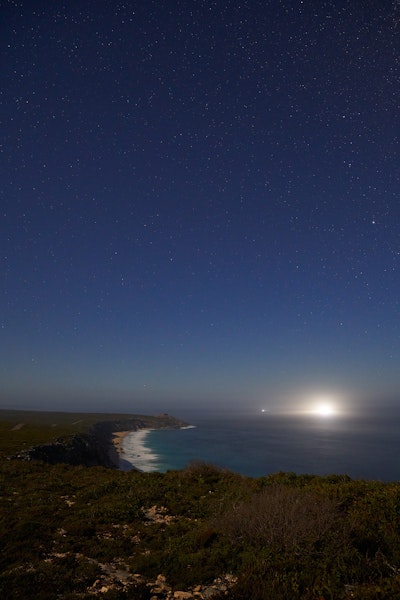 KangarooIsland4